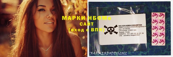 индика Володарск