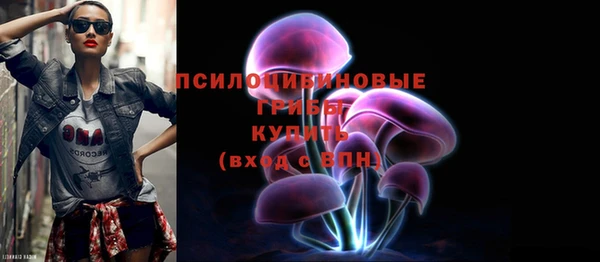 индика Володарск