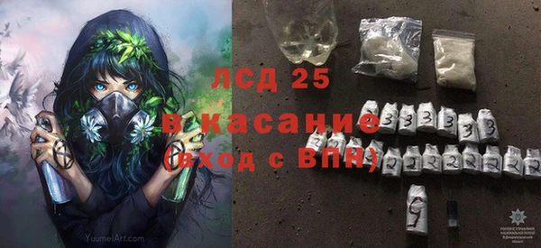 индика Володарск