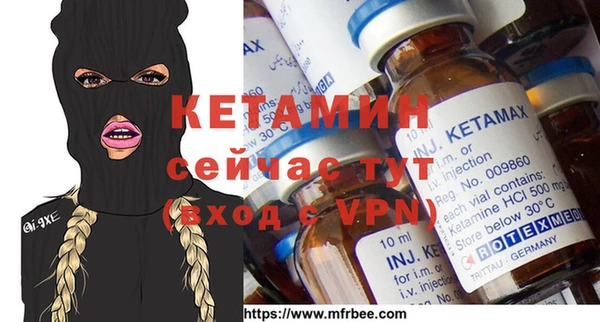 индика Володарск