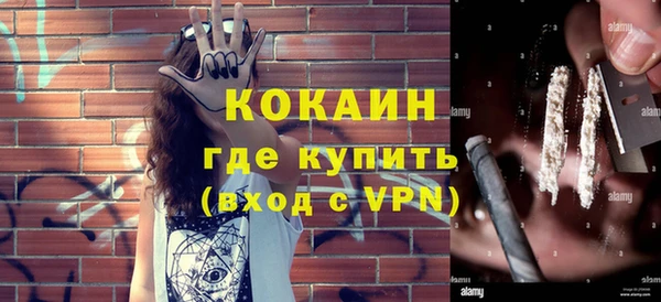 дмт Бородино