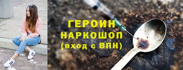 индика Володарск
