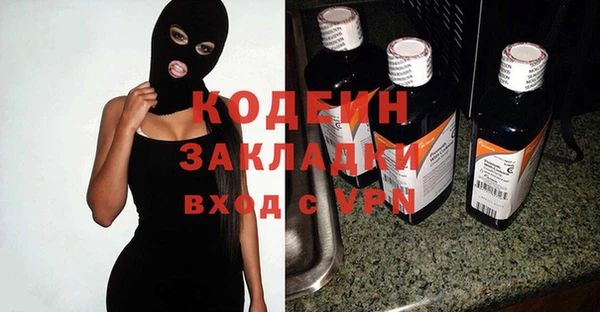 индика Володарск