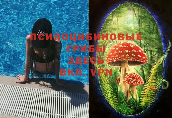 индика Володарск