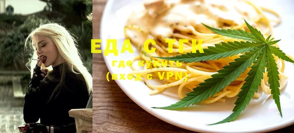 индика Володарск