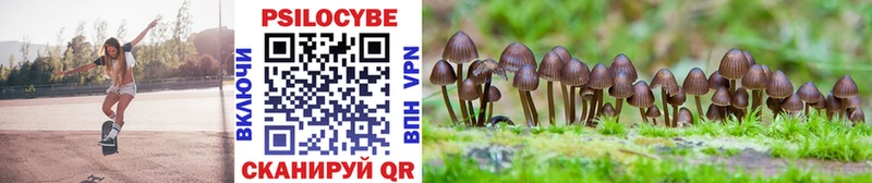 наркотики  Калтан  Псилоцибиновые грибы MAGIC MUSHROOMS 