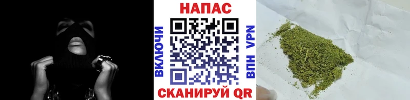 хочу   Калтан  Бошки марихуана ГИДРОПОН 